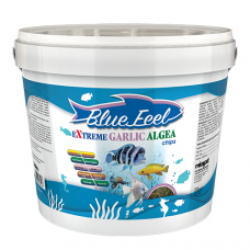 Blue Feel Extreme Garlic Algae Chips 2400Gr Kova